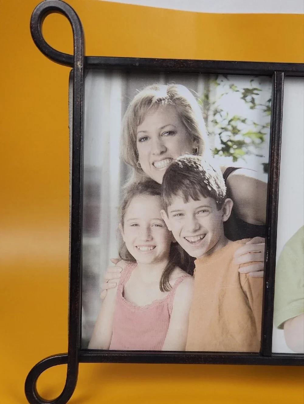 Family Multi-Opening Photo Frame in Black with Gold Accents